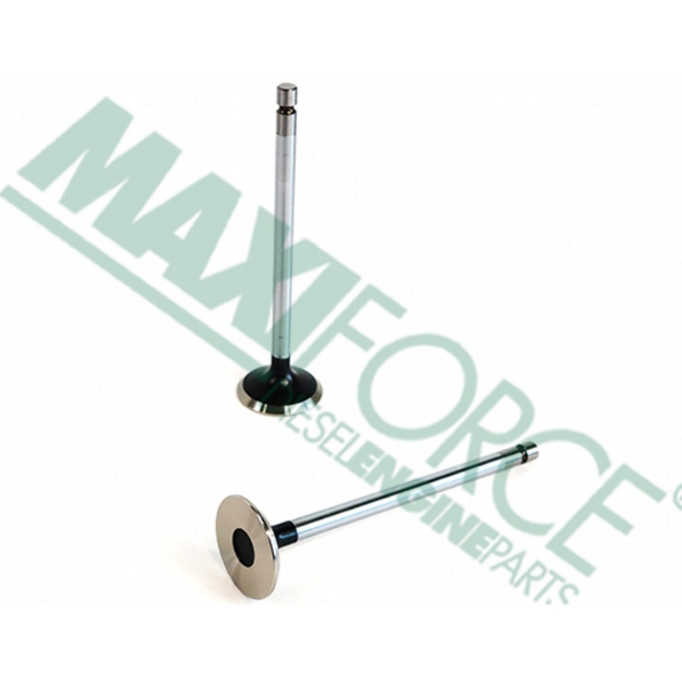 Picture of Exhaust Valve Kit