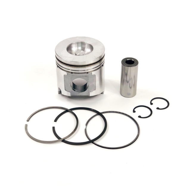 Picture of Piston & Ring Kit, Standard