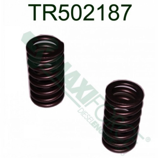 Picture of Valve Spring