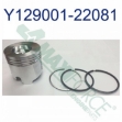 Picture of Piston & Ring Kit, Standard