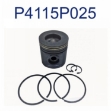 Picture of Piston & Ring Kit