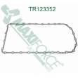 Picture of Oil Pan Gasket