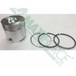Picture of Piston & Ring Kit, Standard