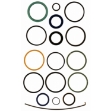 Picture of Dana/Spicer Steering Cylinder Seal Kit, MFD, Original & Updated