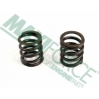 Picture of Valve Spring