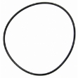 Picture of IPTO Bearing Cage O-Ring