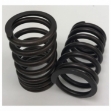 Picture of Valve Spring