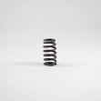 Picture of Valve Spring