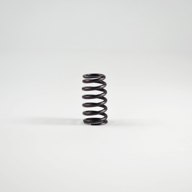 Picture of Valve Spring
