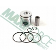 Picture of Piston & Ring Kit, Standard