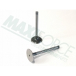Picture of Intake Valve, 45 Degree