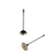 Picture of Exhaust Valve