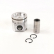 Picture of Piston, Std.