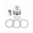 Picture of Piston & Ring Kit, Std.
