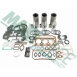 Picture of Major Overhaul Kit, Perkins 1103C-33T Diesel Engine
