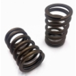 Picture of Valve Spring