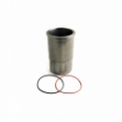 Picture of Cylinder Liner w/ Sealing Rings