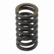 Picture of Valve Spring