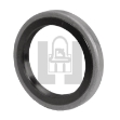 Picture of Piston & Rings, Standard