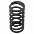 Picture of Valve Spring
