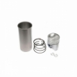 Picture of Cylinder Kit, 3.625" bore, dome top piston with .875" pin