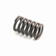 Picture of Valve Spring