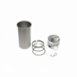 Picture of Cylinder Kit, .010" Oversize Liner