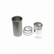 Picture of Cylinder Kit, .005" Oversize Liner