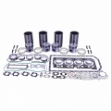 Picture of Inframe Overhaul Kit, John Deere 4045H PowerTech Diesel, Piston Marked RE544607
