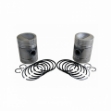 Picture of Piston & Rings, Standard, Set of 2