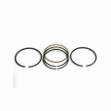 Picture of Piston Ring Set, 1.00mm Oversize, 2-2.0mm, 1-4.0mm, 91mm Standard bore, 1 cylinder set