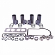 Picture of Inframe Overhaul Kit, IH C264 Gas, LPG