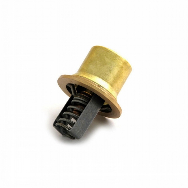 Picture of Thermostat, 180 Degree