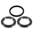Picture of Carraro Axle Hub Bearing & Seal Kit, MFD