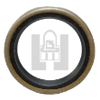 Picture of Seal