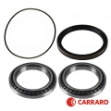 Picture of Carraro Planetary Hub Bearing & Seal Kit, MFD