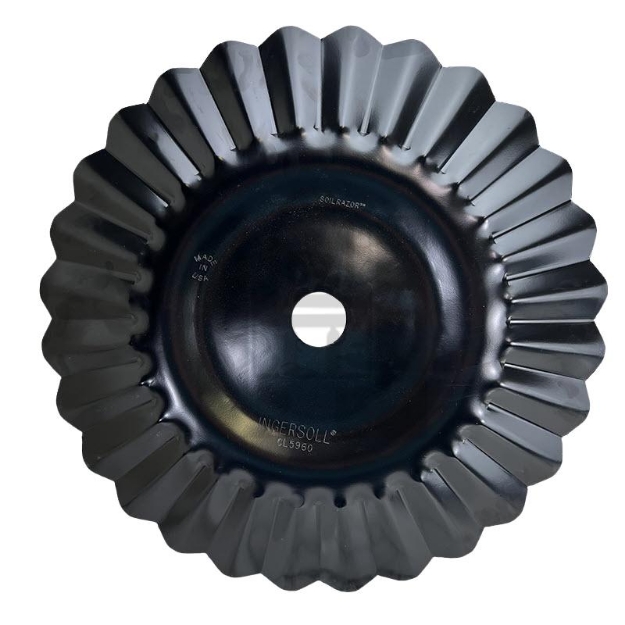 Picture of 22" VT Rex 