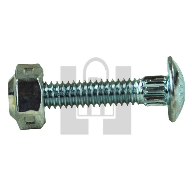 Picture of Section Bolts 1-1/4"W/Nut(25)