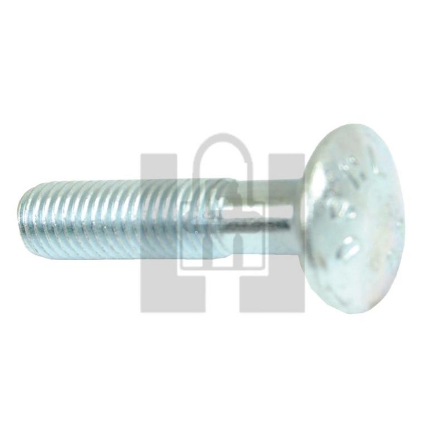 Picture of 10 x 45 mm Carriage Bolt