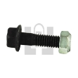 Picture of Flange Bolt/Nut